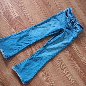 American Eagle Blue Flared Jeans High Rise